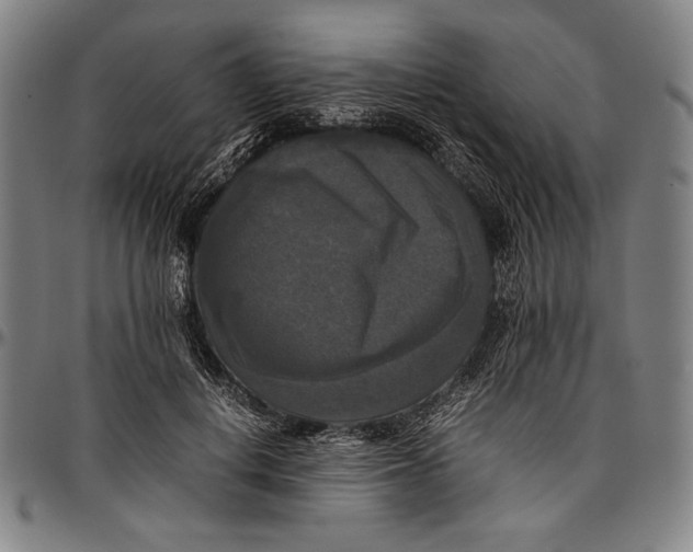 X0000097000648200802291148