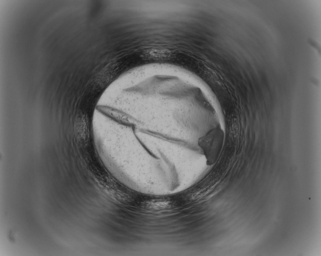 X0000097000651200802291148