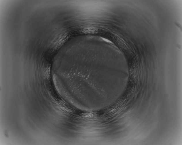 X0000097000652200802291148