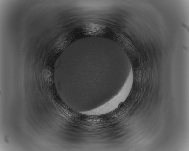 X0000097000653200802291148