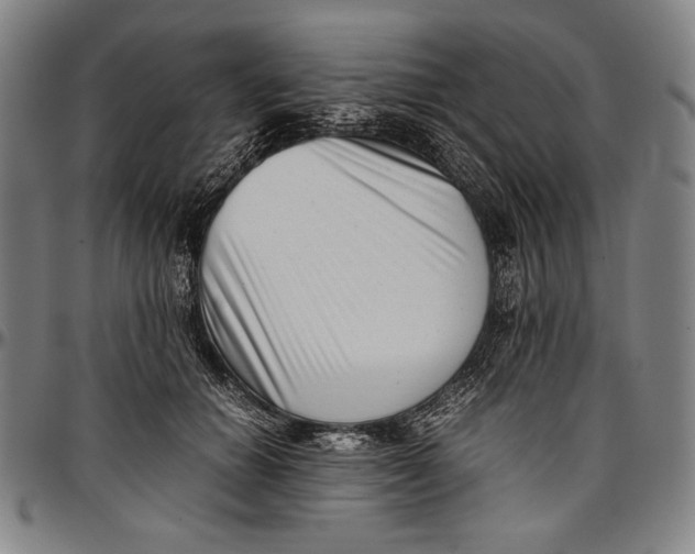 X0000097000654200802291148