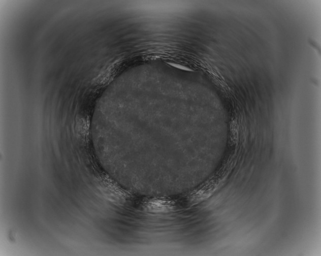 X0000097000657200802291148