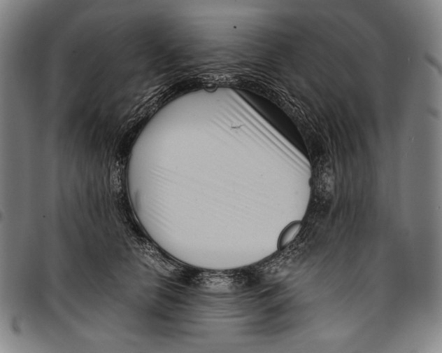 X0000097000658200802291148