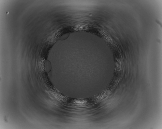 X0000097000659200802291148