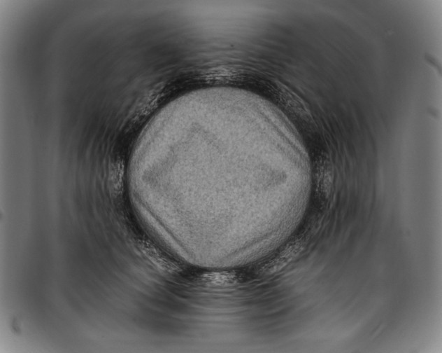 X0000097000660200802291148