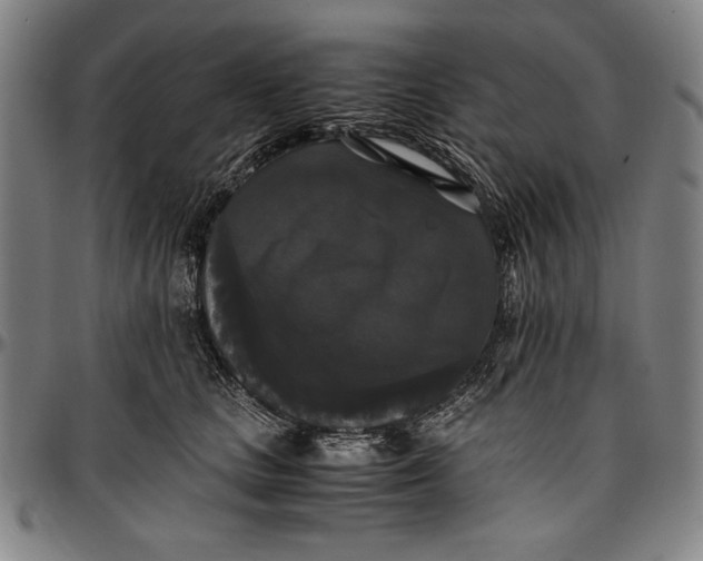 X0000097000661200802291148