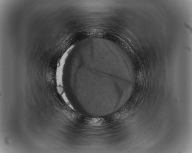 X0000097000663200802291148