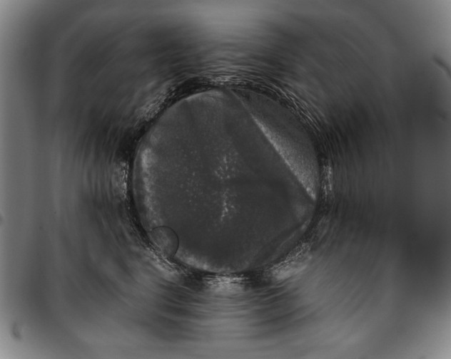 X0000097000664200802291148