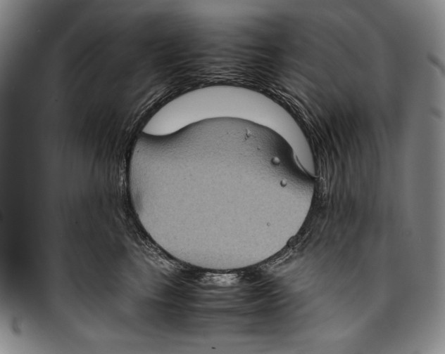 X0000097000665200802291148