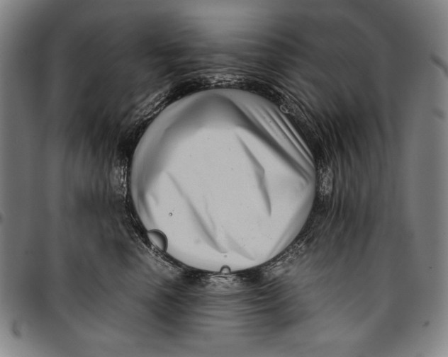 X0000097000666200802291148