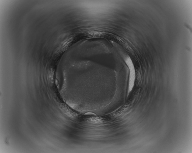 X0000097000668200802291148