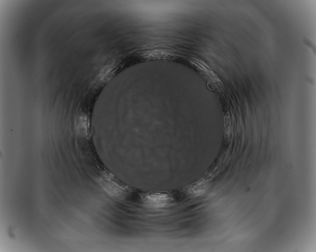 X0000097000669200802291148