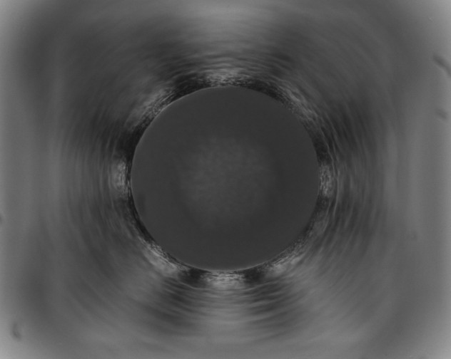 X0000097000670200802291148