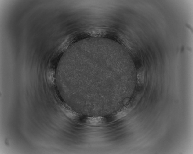 X0000097000671200802291148