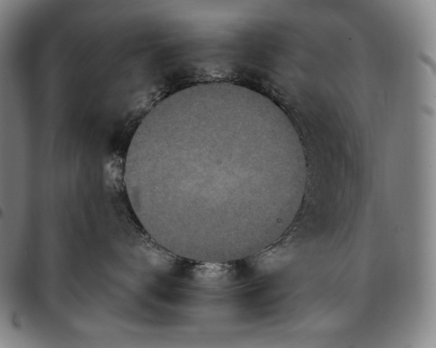 X0000097000672200802291148