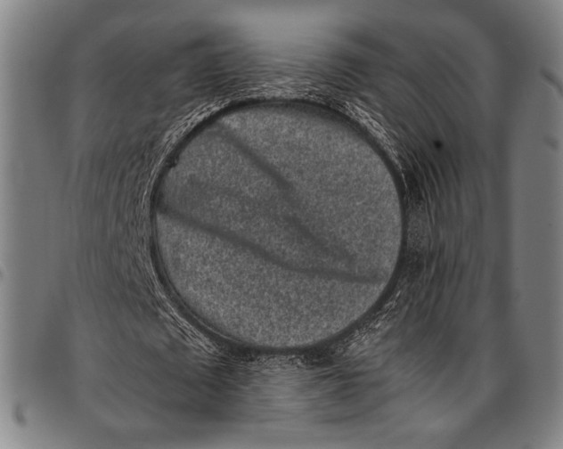 X0000097000673200802291148