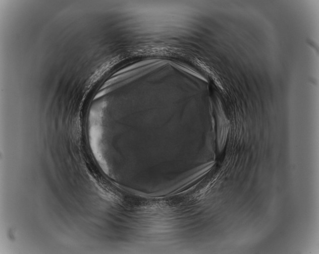 X0000097000674200802291148