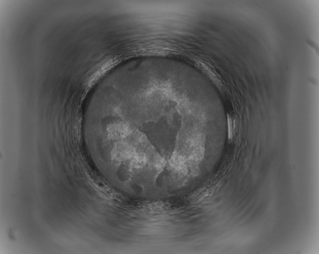 X0000097000675200802291148