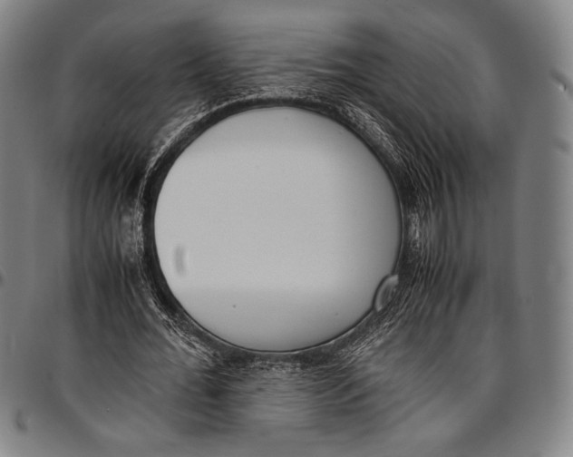 X0000097000676200802291148