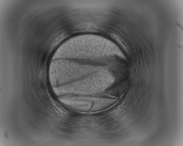 X0000097000677200802291148