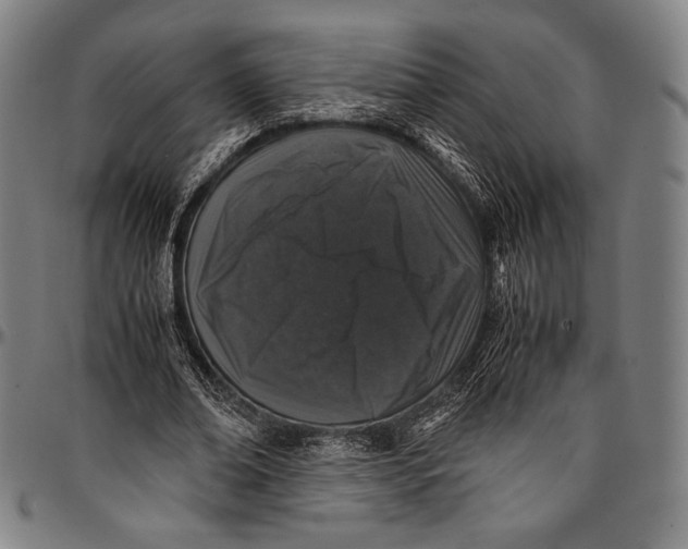 X0000097000678200802291148