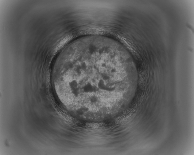 X0000097000679200802291148