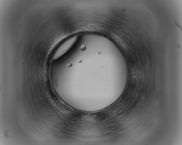 X0000097000680200802291148