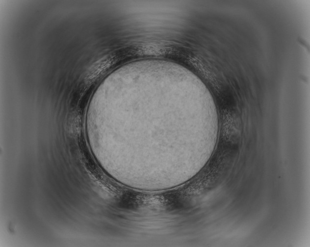 X0000097000683200802291148