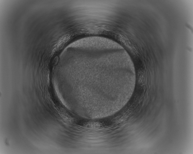 X0000097000685200802291148