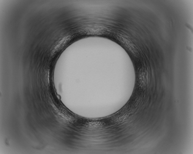 X0000097000686200802291148