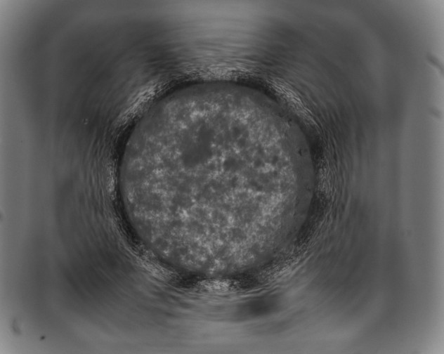 X0000097000687200802291148