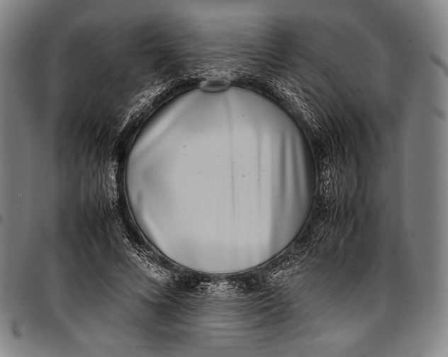 X0000097000688200802291148