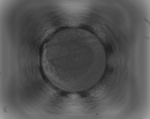 X0000097000689200802291148