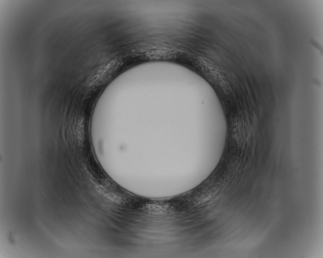 X0000097000690200802291148