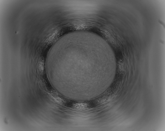 X0000097000691200802291148