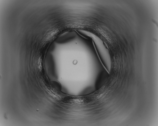 X0000097000692200802291147