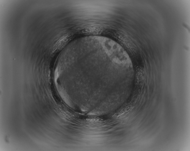 X0000097000693200802291147