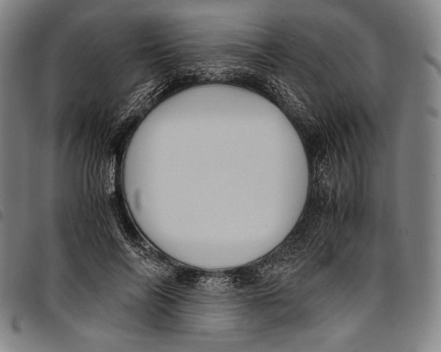 X0000097000694200802291147