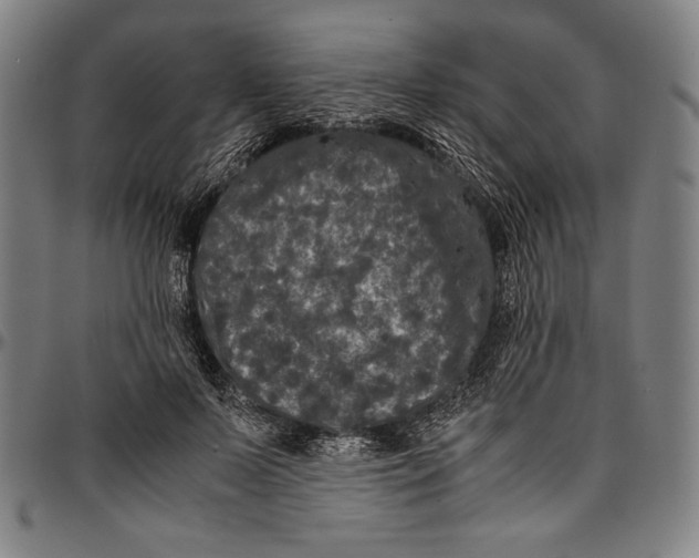 X0000097000695200802291147