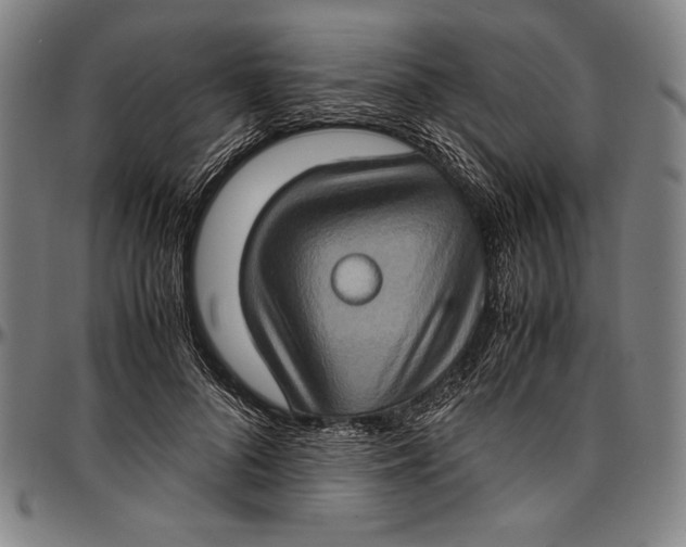 X0000097000696200802291147