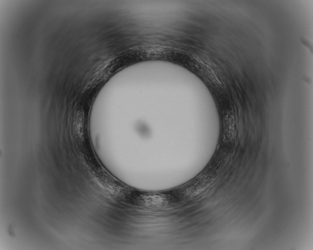 X0000097000698200802291147