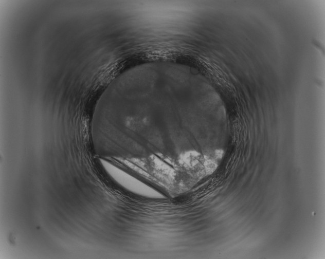 X0000097000699200802291147