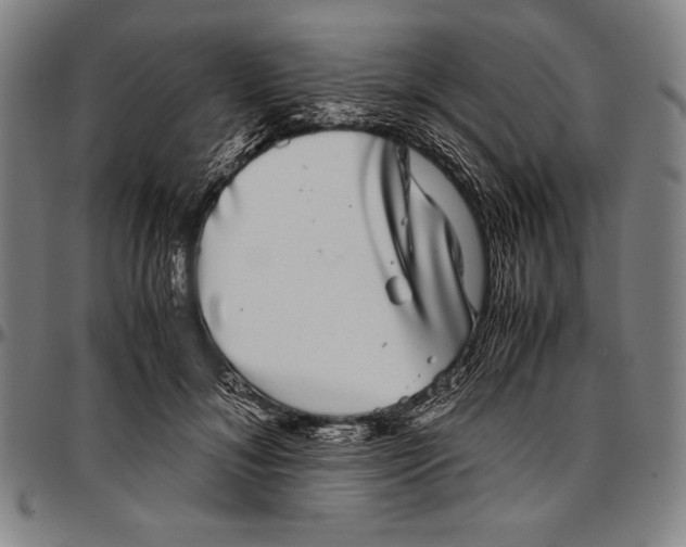 X0000097000700200802291147