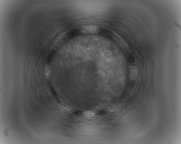 X0000097000701200802291147