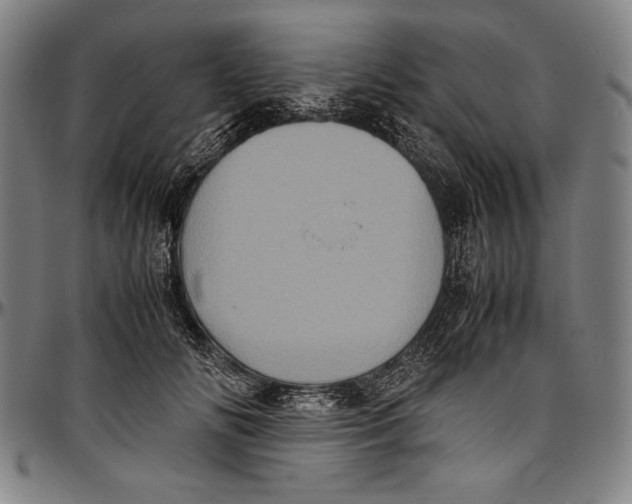 X0000097000702200802291147