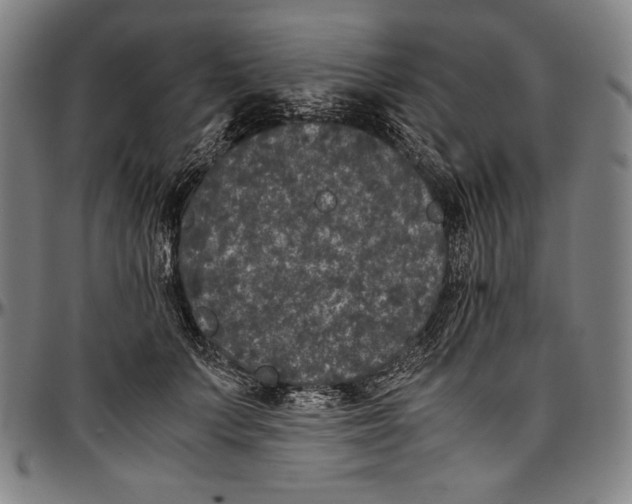 X0000097000703200802291147