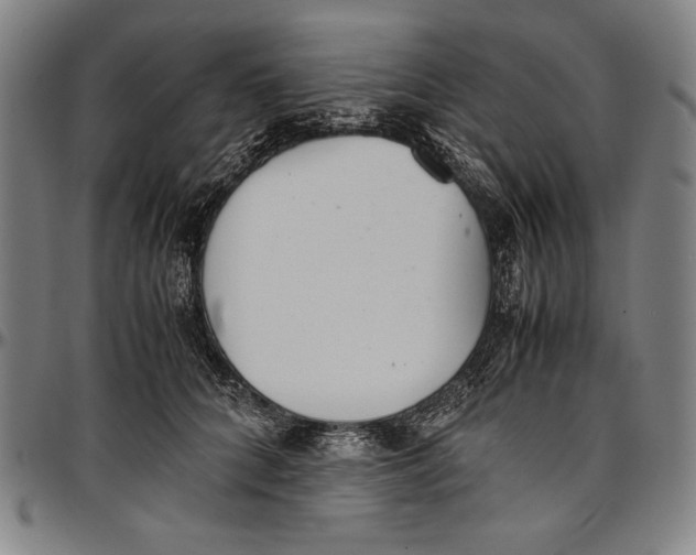 X0000097000704200802291147