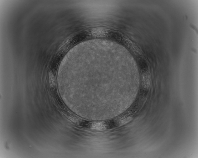 X0000097000705200802291147