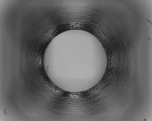 X0000097000706200802291147