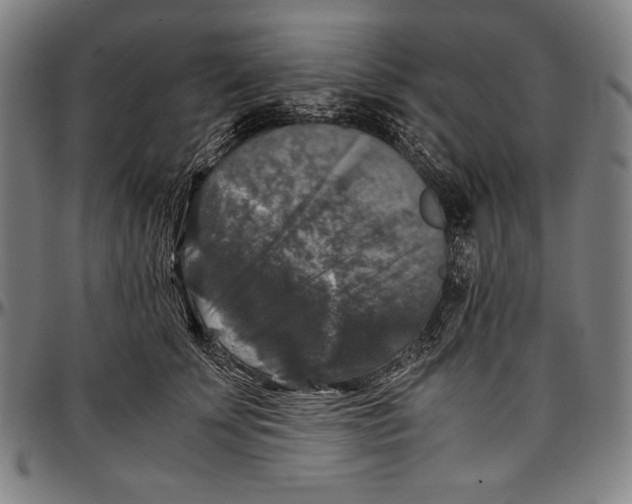 X0000097000707200802291147